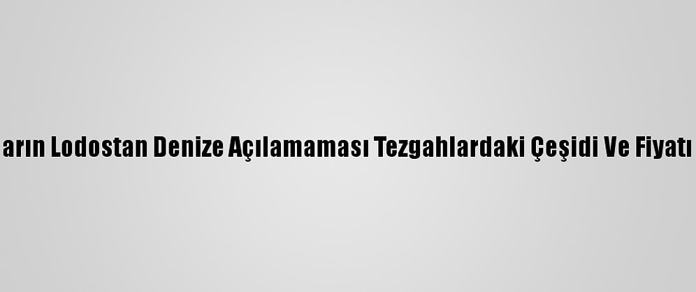 Balıkçıların Lodostan Denize Açılamaması Tezgahlardaki Çeşidi Ve Fiyatı Etkiledi