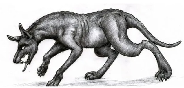 Chupacabra, 90'larda bir dizi hayvanın gizemli şekilde ölümüyle de gündeme gelmişti