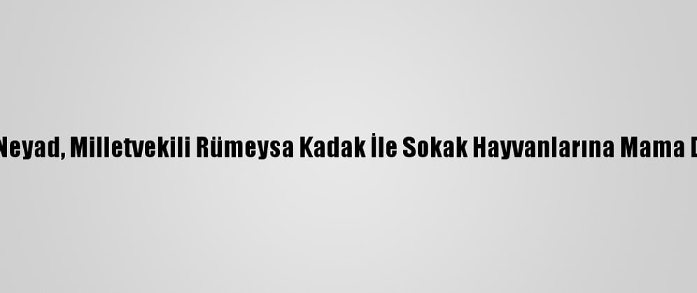 Genç Neyad, Milletvekili Rümeysa Kadak İle Sokak Hayvanlarına Mama Dağıttı