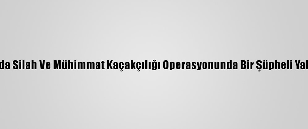 Muğla'da Silah Ve Mühimmat Kaçakçılığı Operasyonunda Bir Şüpheli Yakalandı