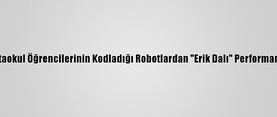 Ortaokul Öğrencilerinin Kodladığı Robotlardan "Erik Dalı" Performansı