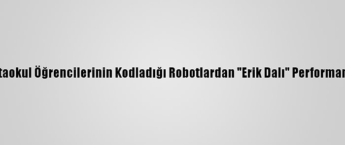 Ortaokul Öğrencilerinin Kodladığı Robotlardan "Erik Dalı" Performansı