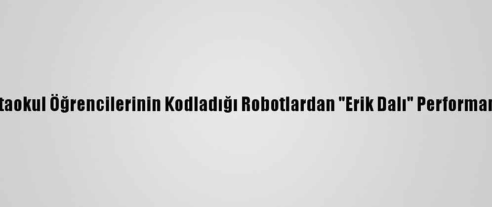 Ortaokul Öğrencilerinin Kodladığı Robotlardan "Erik Dalı" Performansı