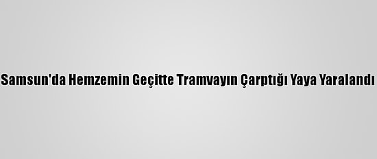 Samsun'da Hemzemin Geçitte Tramvayın Çarptığı Yaya Yaralandı