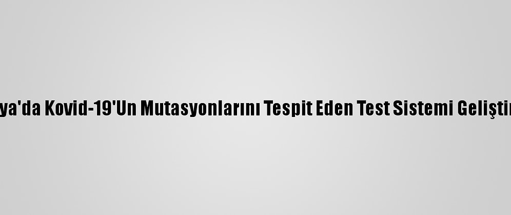 Rusya'da Kovid-19'Un Mutasyonlarını Tespit Eden Test Sistemi Geliştirildi