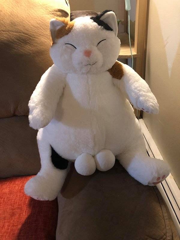 4. А не рановато ли детям про такое знать? :)