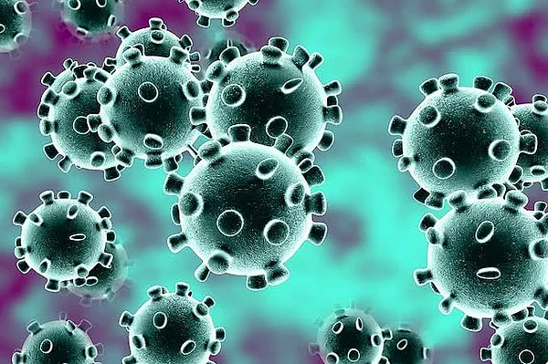 Nipah Virüsü Nedir? Görseli
