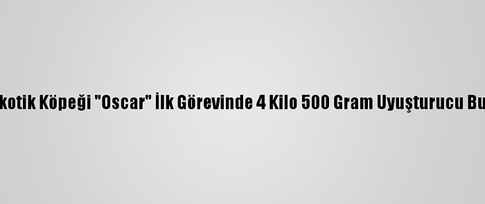 Narkotik Köpeği "Oscar" İlk Görevinde 4 Kilo 500 Gram Uyuşturucu Buldu