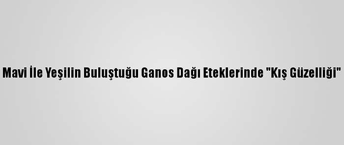 Mavi İle Yeşilin Buluştuğu Ganos Dağı Eteklerinde "Kış Güzelliği"