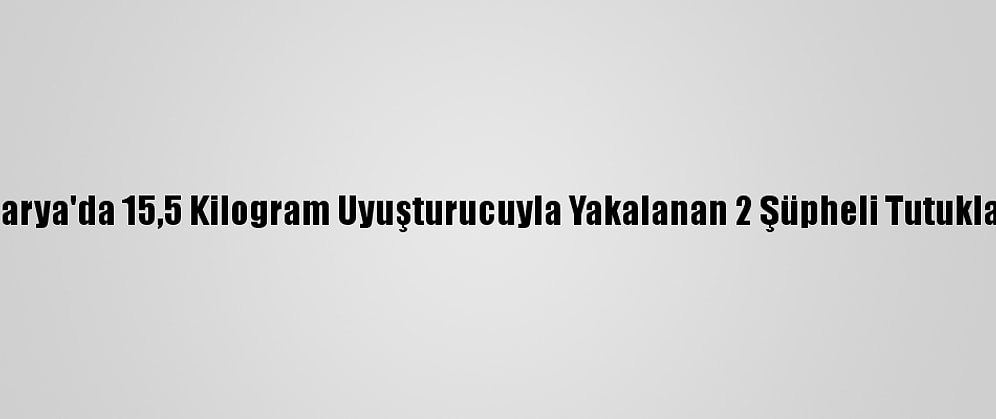 Sakarya'da 15,5 Kilogram Uyuşturucuyla Yakalanan 2 Şüpheli Tutuklandı