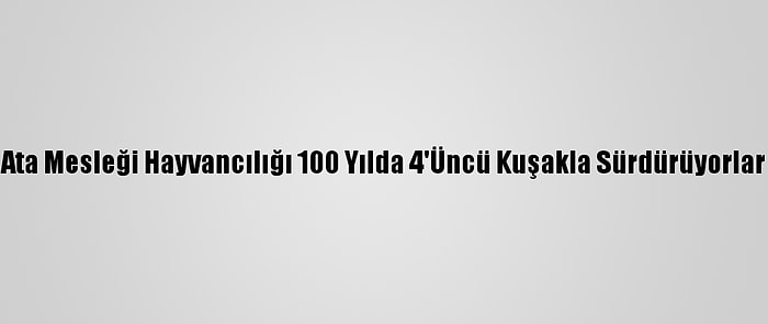 Ata Mesleği Hayvancılığı 100 Yılda 4'Üncü Kuşakla Sürdürüyorlar