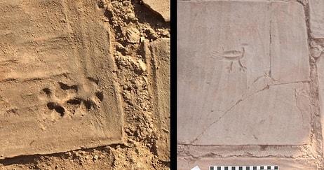 ABD'li Arkeologlar 'Fantastik' Dedi! Manisa'da Duvarlarında Resimler Olan 1.500 Yıllık Ev Keşfedildi