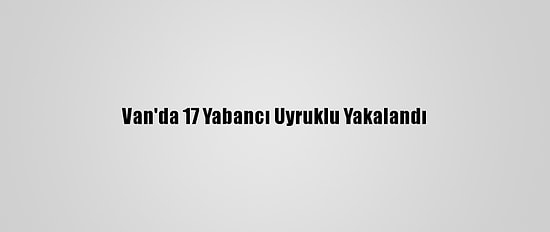 Van'da 17 Yabancı Uyruklu Yakalandı