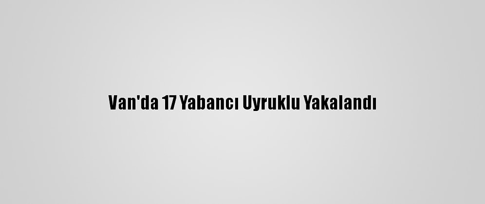 Van'da 17 Yabancı Uyruklu Yakalandı