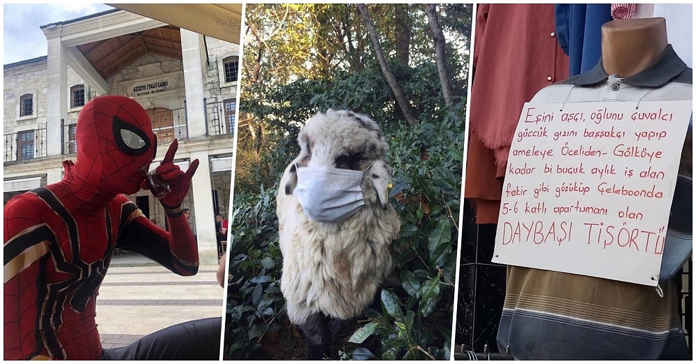 Tüm Türkiye'yi Gezseniz de Sadece Ordu'da Karşılaşabileceğiniz Birbirinden Fantastik 31 Görüntü