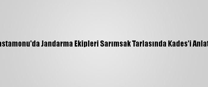 Kastamonu'da Jandarma Ekipleri Sarımsak Tarlasında Kades'i Anlattı