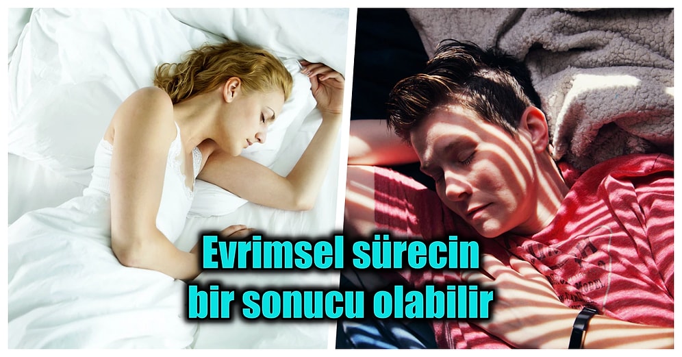 Neden Tam Uykuya Dalacakken Yere Düşüyormuş Gibi Hissedip İrkiliriz?