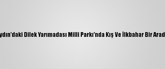Aydın'daki Dilek Yarımadası Milli Parkı'nda Kış Ve İlkbahar Bir Arada