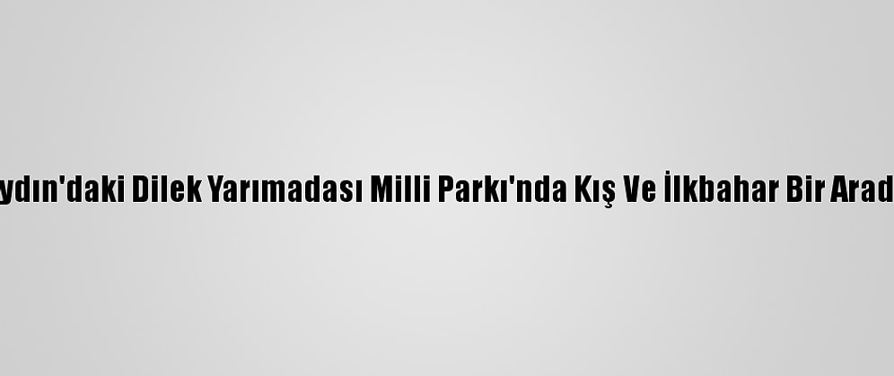 Aydın'daki Dilek Yarımadası Milli Parkı'nda Kış Ve İlkbahar Bir Arada