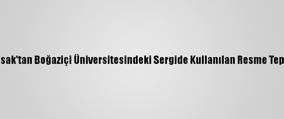 Bisak'tan Boğaziçi Üniversitesindeki Sergide Kullanılan Resme Tepki