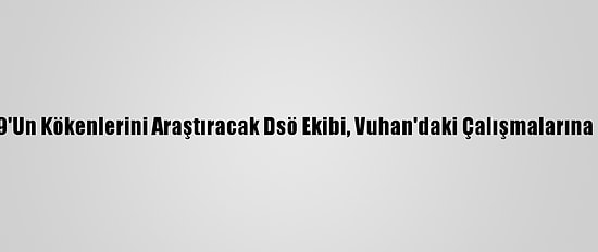 Kovid-19'Un Kökenlerini Araştıracak Dsö Ekibi, Vuhan'daki Çalışmalarına Başladı