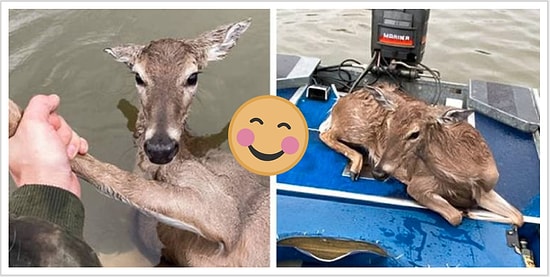 10 фотографий, которые однозначно согреют вам сердце и вызовут на лице улыбку (Часть 1)