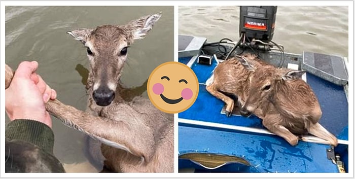 10 фотографий, которые однозначно согреют вам сердце и вызовут на лице улыбку (Часть 1)