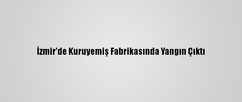 İzmir'de Kuruyemiş Fabrikasında Yangın Çıktı