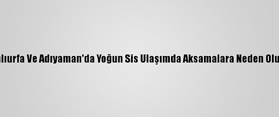 Şanlıurfa Ve Adıyaman'da Yoğun Sis Ulaşımda Aksamalara Neden Oluyor