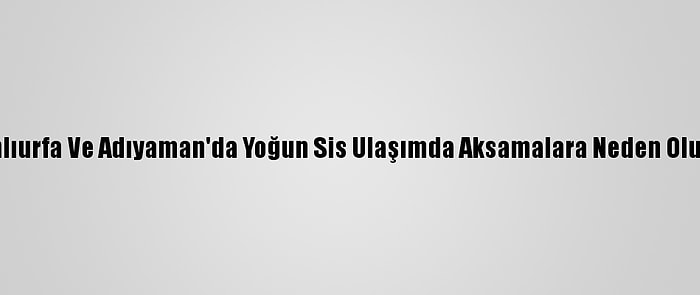 Şanlıurfa Ve Adıyaman'da Yoğun Sis Ulaşımda Aksamalara Neden Oluyor