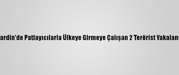 Mardin'de Patlayıcılarla Ülkeye Girmeye Çalışan 2 Terörist Yakalandı