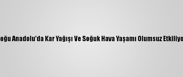 Doğu Anadolu'da Kar Yağışı Ve Soğuk Hava Yaşamı Olumsuz Etkiliyor