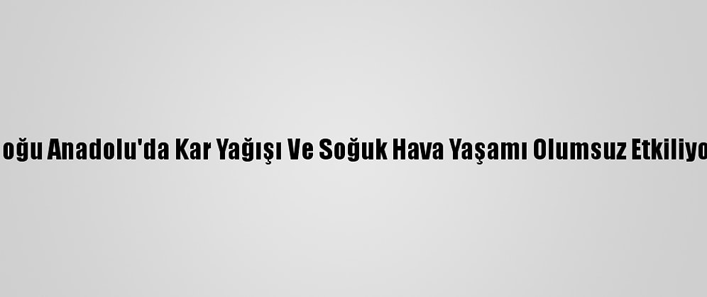 Doğu Anadolu'da Kar Yağışı Ve Soğuk Hava Yaşamı Olumsuz Etkiliyor
