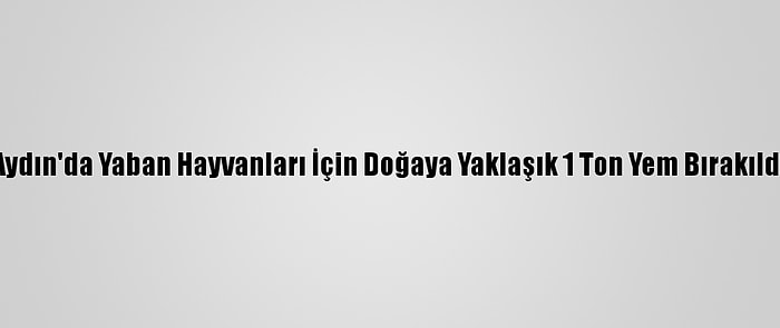 Aydın'da Yaban Hayvanları İçin Doğaya Yaklaşık 1 Ton Yem Bırakıldı