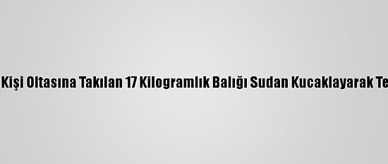 Antalya'da Bir Kişi Oltasına Takılan 17 Kilogramlık Balığı Sudan Kucaklayarak Tekneye Çıkardı