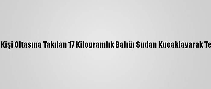 Antalya'da Bir Kişi Oltasına Takılan 17 Kilogramlık Balığı Sudan Kucaklayarak Tekneye Çıkardı