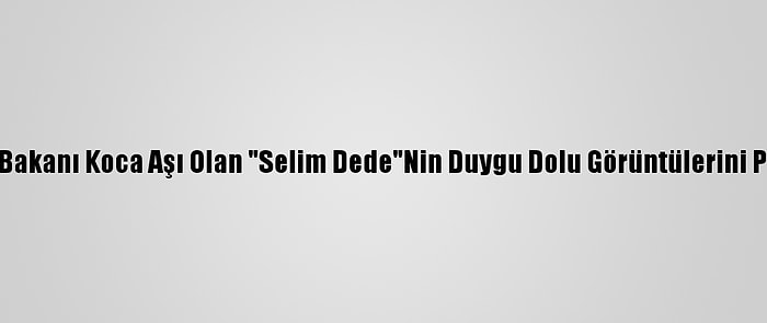 Sağlık Bakanı Koca Aşı Olan "Selim Dede"Nin Duygu Dolu Görüntülerini Paylaştı