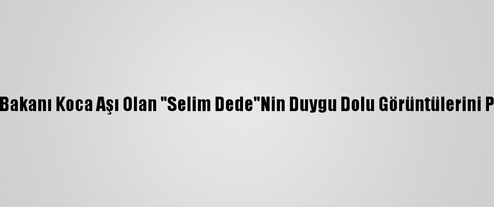 Sağlık Bakanı Koca Aşı Olan "Selim Dede"Nin Duygu Dolu Görüntülerini Paylaştı