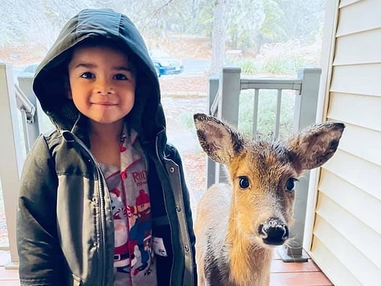 4-летний мальчик подружился с олененком в лесу и привел его домой