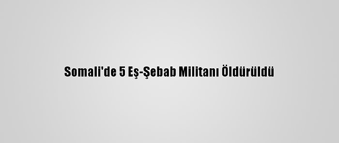 Somali'de 5 Eş-Şebab Militanı Öldürüldü