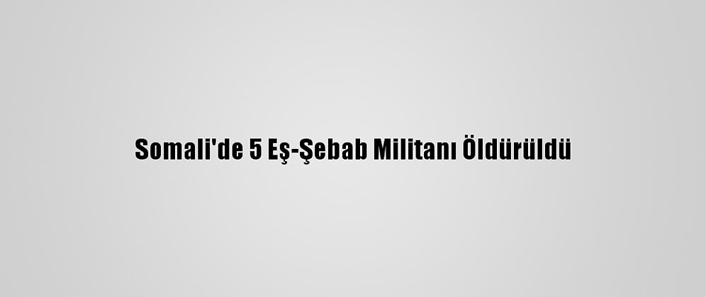 Somali'de 5 Eş-Şebab Militanı Öldürüldü