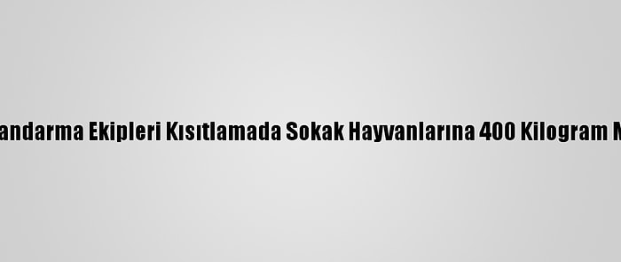 Malatya'da Jandarma Ekipleri Kısıtlamada Sokak Hayvanlarına 400 Kilogram Mama Bıraktı