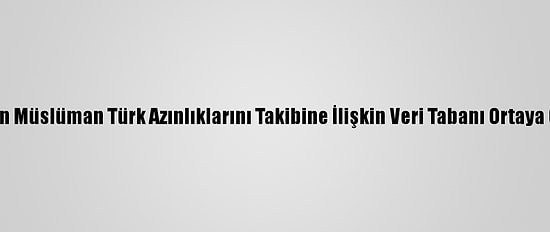 Çin'in Müslüman Türk Azınlıklarını Takibine İlişkin Veri Tabanı Ortaya Çıktı