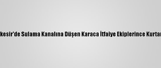 Balıkesir'de Sulama Kanalına Düşen Karaca İtfaiye Ekiplerince Kurtarıldı
