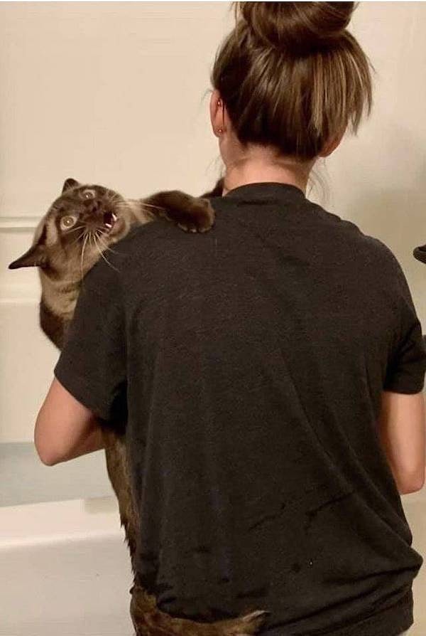 10. Пощади меня, человек! Ради всего святого!