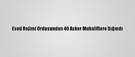 Esed Rejimi Ordusundan 40 Asker Muhaliflere Sığındı