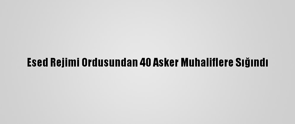 Esed Rejimi Ordusundan 40 Asker Muhaliflere Sığındı