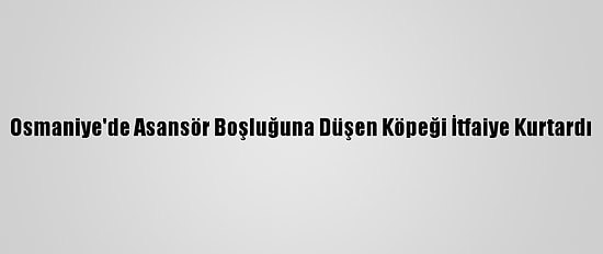 Osmaniye'de Asansör Boşluğuna Düşen Köpeği İtfaiye Kurtardı