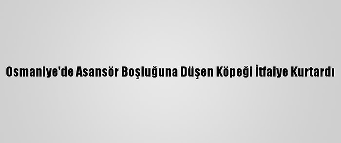 Osmaniye'de Asansör Boşluğuna Düşen Köpeği İtfaiye Kurtardı