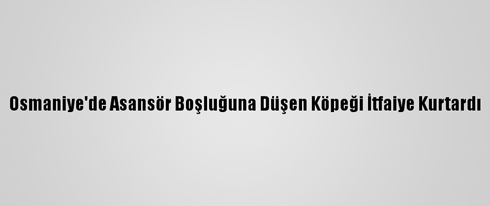 Osmaniye'de Asansör Boşluğuna Düşen Köpeği İtfaiye Kurtardı